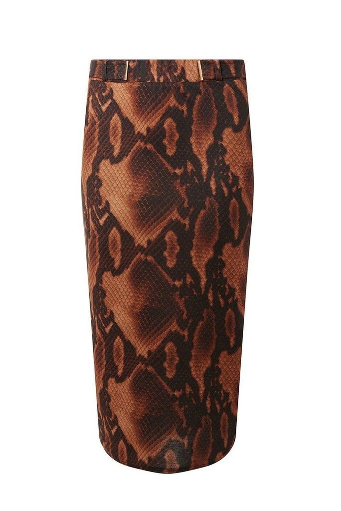 Womens Dorothy Perkins Tall Snake Print Skirt -  Brown