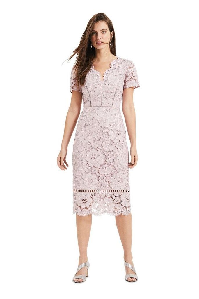 Womens Phase Eight Pink Trinity Corded Lace Dress -  Pink