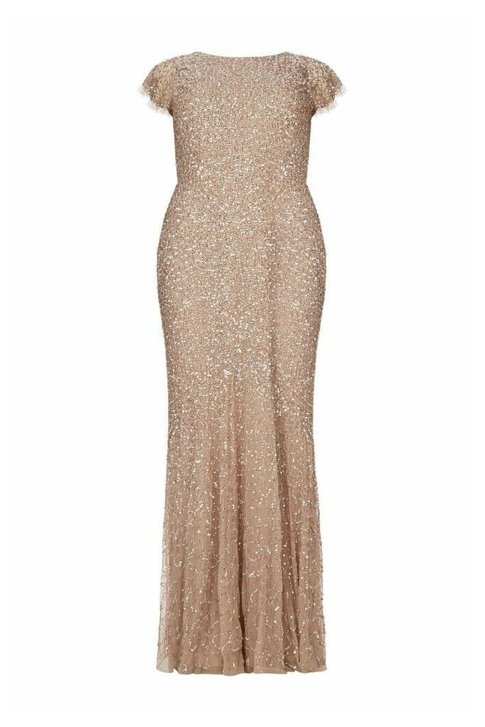 Womens Maya Curve All Over Sequin Maxi Dress -  Nude