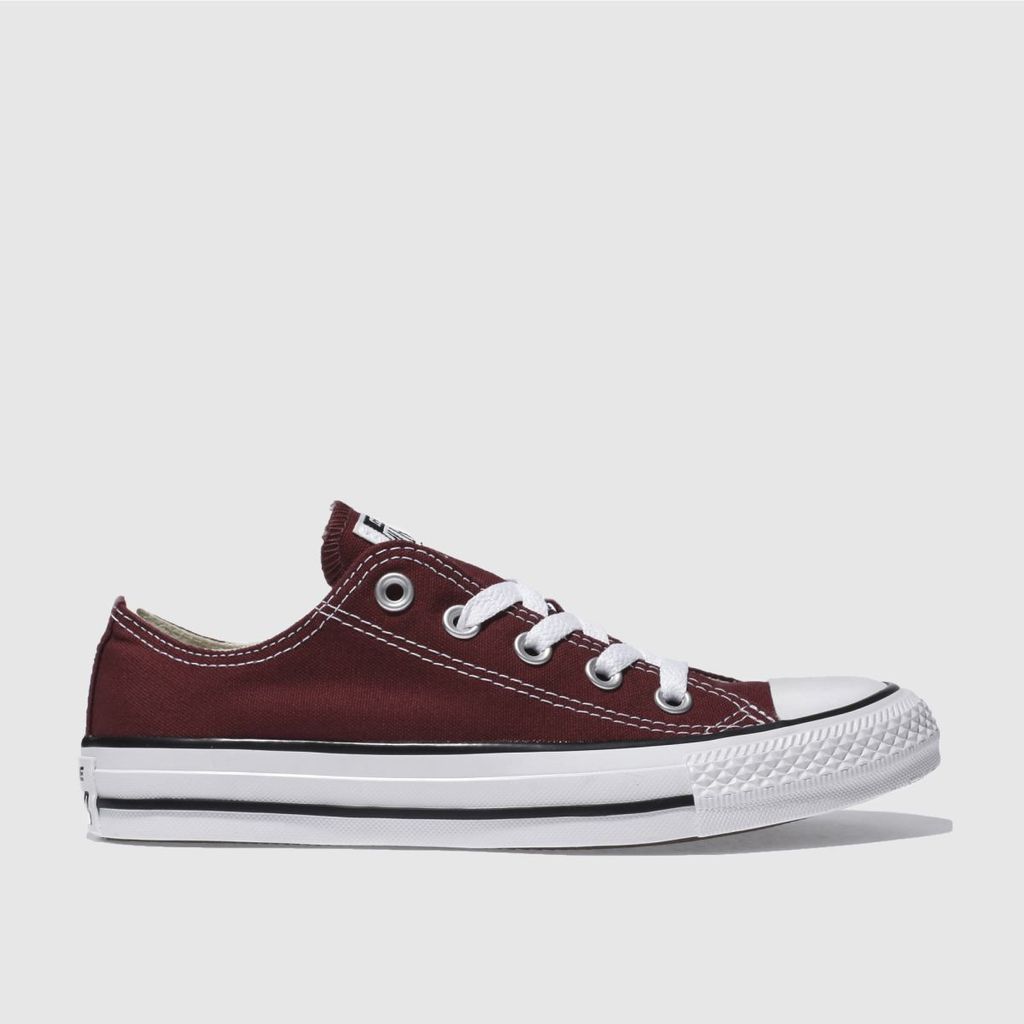 all star oxford trainers in burgundy