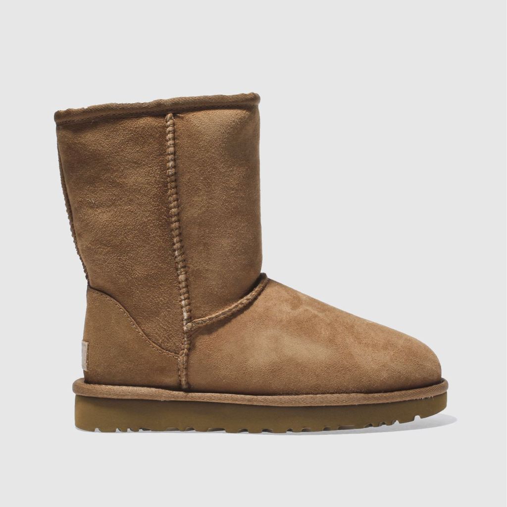 UGG classic short ii boots in chestnut