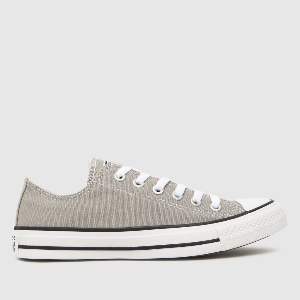 all star ox trainers in light grey