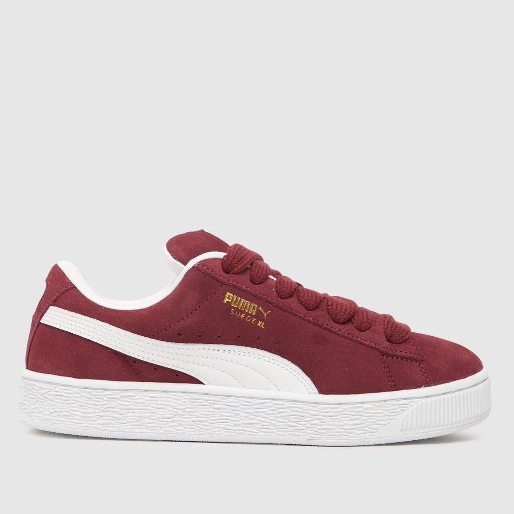 suede xl trainers in burgundy