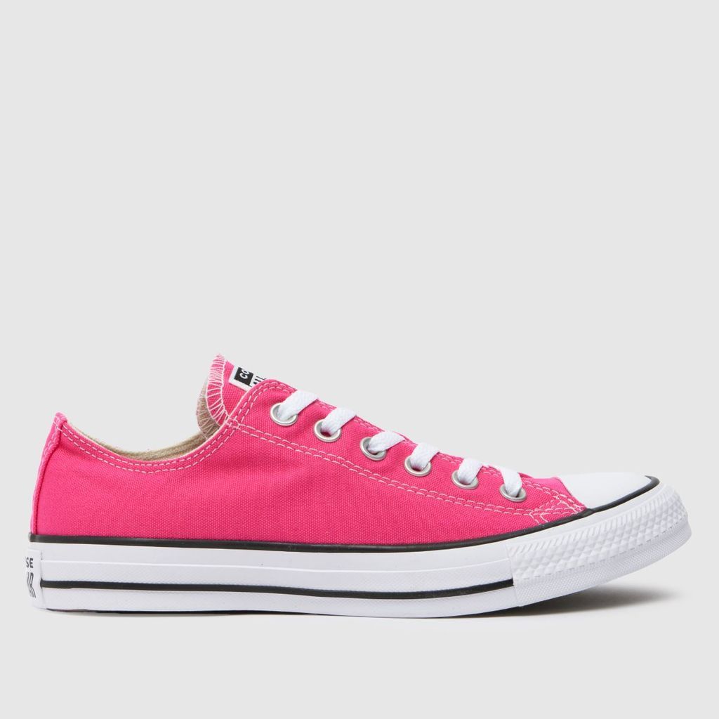 all star ox trainers in white & pink