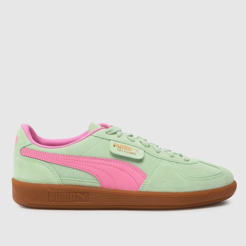 palermo trainers in light green