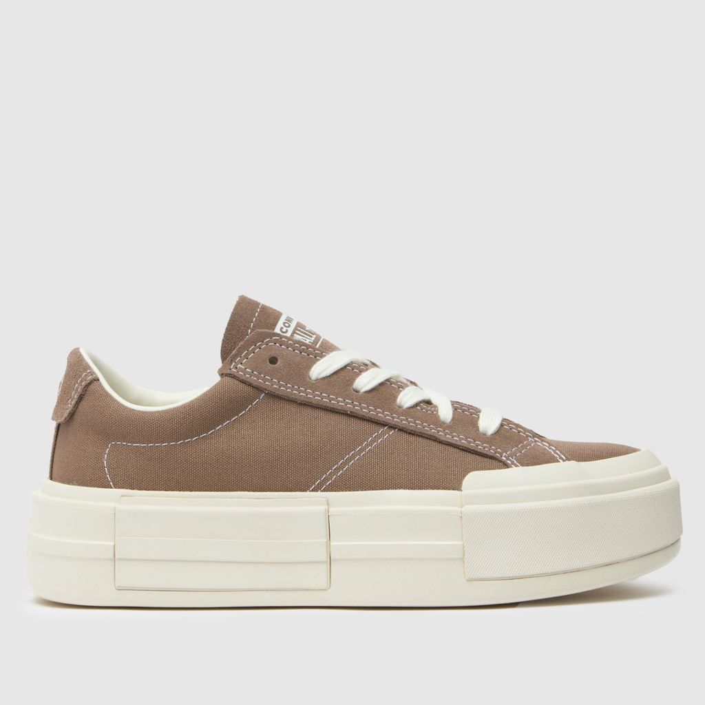 all star cruise ox trainers in brown