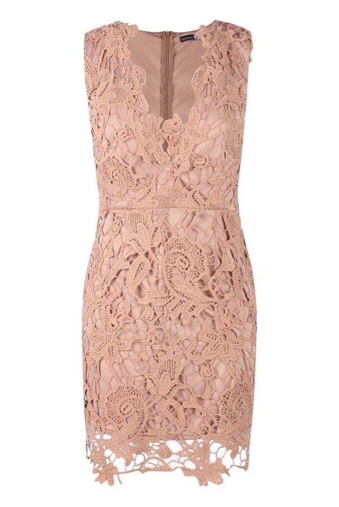 Womens Boutique Lace Scallop Detail Dress - Beige - 14, Beige