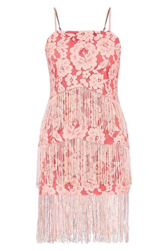 Womens Lace and Tassel Bodycon Dress - Pink - 8, Pink