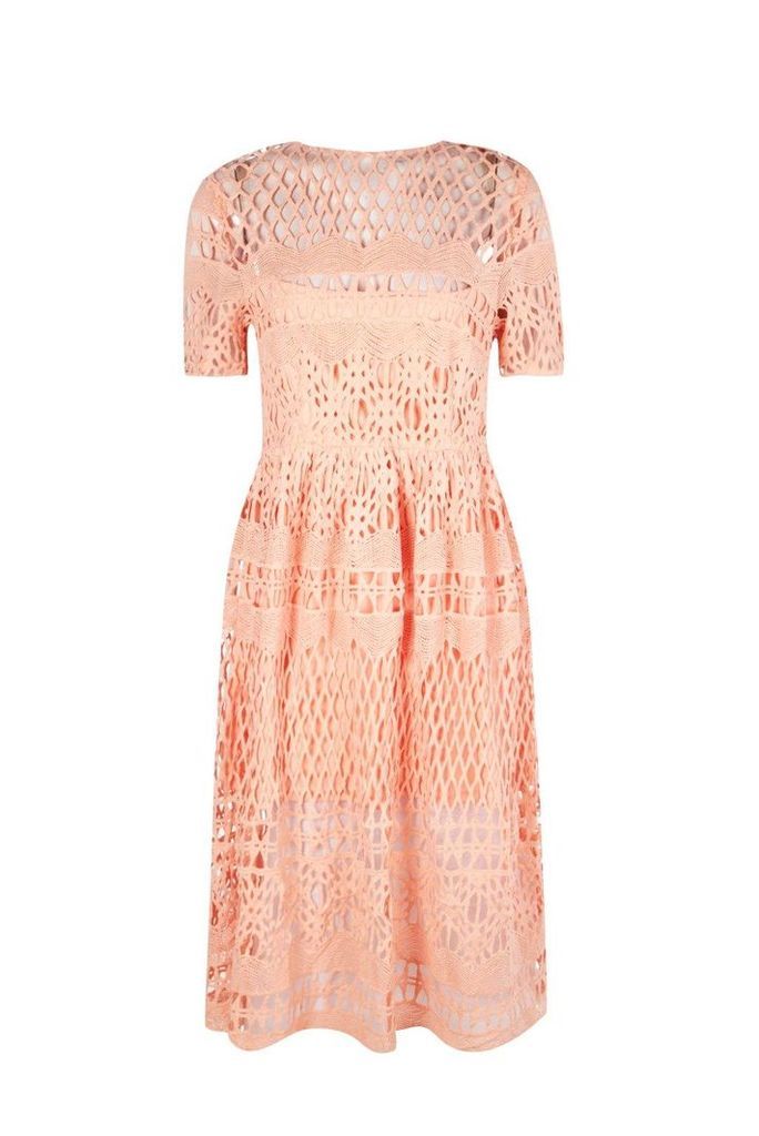 Womens Boutique Corded Lace Panelled Skater Dress - pink - 10, Pink