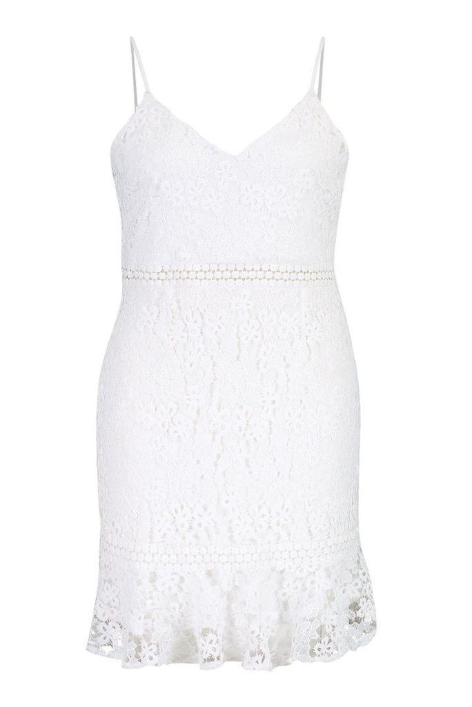 Womens Plus Heavy Lace Embroidered Ruffle Skater Dress - white - 18, White