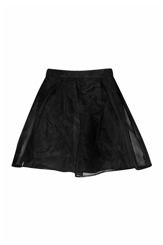 Womens Petite Organza Skater Skirt - black - 10, Black