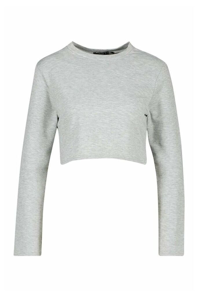 Womens Petite Boxy Crop Long Sleeve T-Shirt - grey - 14, Grey