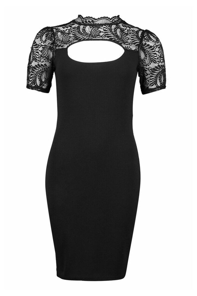Womens Tall Mandarin Collar Lace Midi Dress - Black - 14, Black