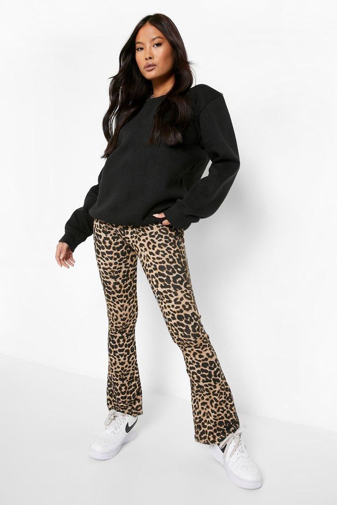Womens Petite Leopard Print Jersey Flares - Multi - 4, Multi