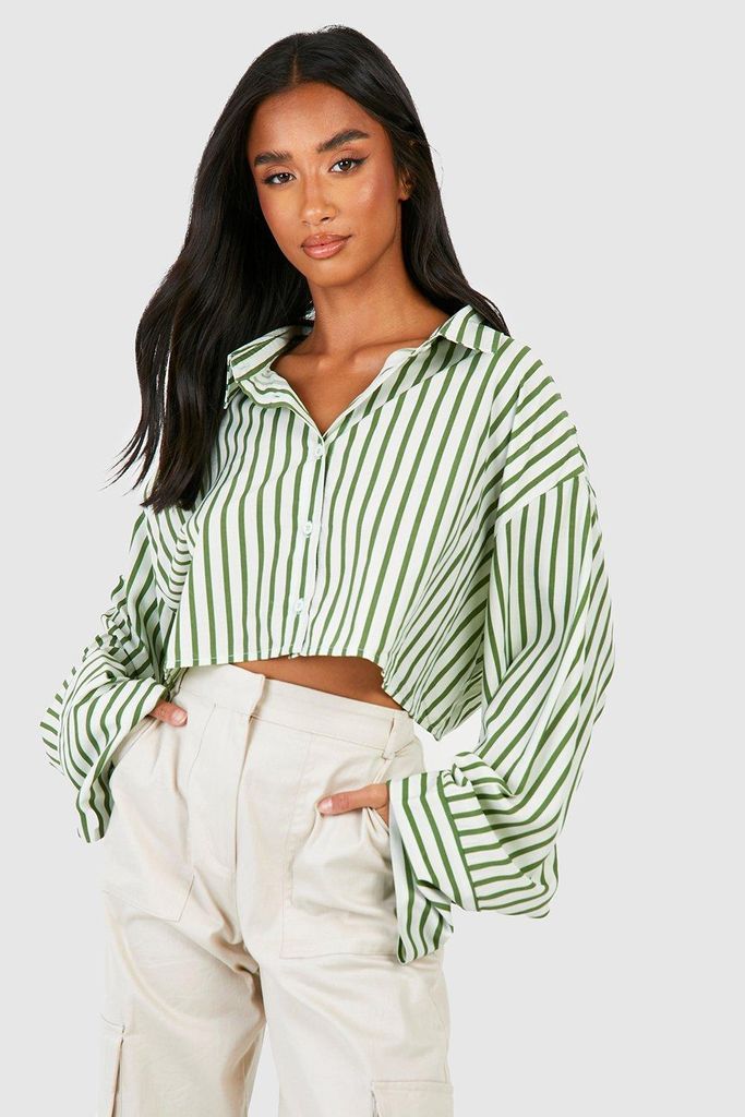 Womens Petite Cropped Stripe Shirt - Green - 6, Green