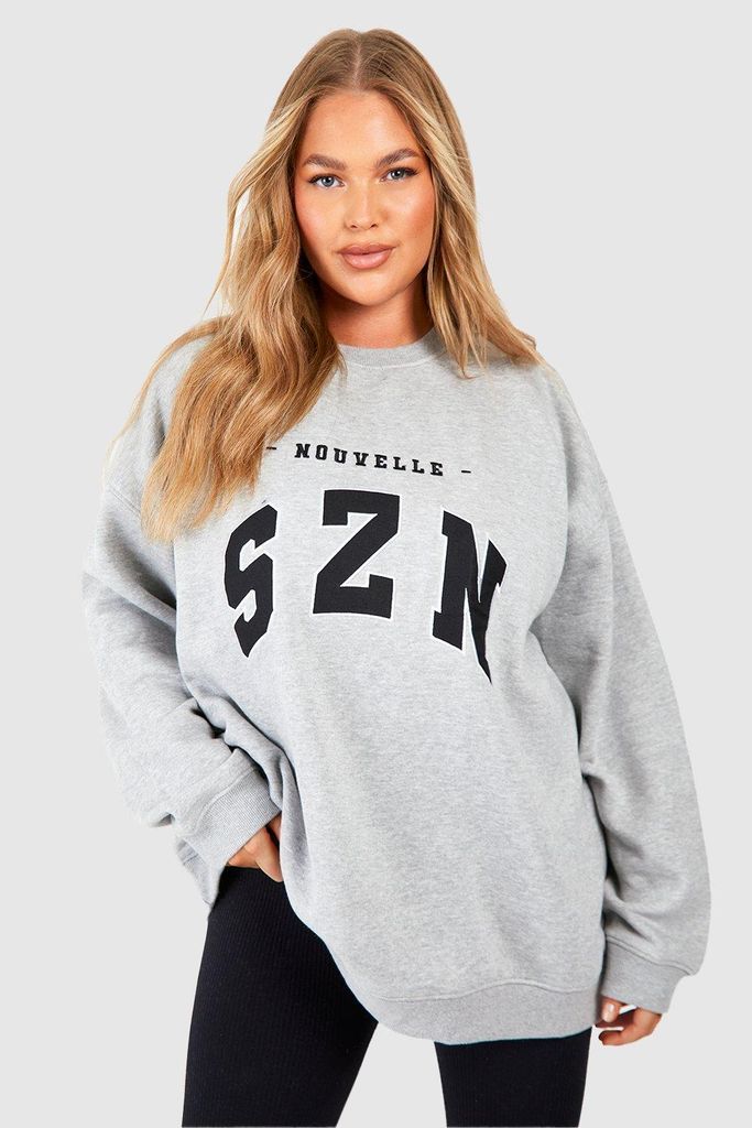 Womens Plus Szn Applique Oversized Sweatshirt - Grey - 16, Grey