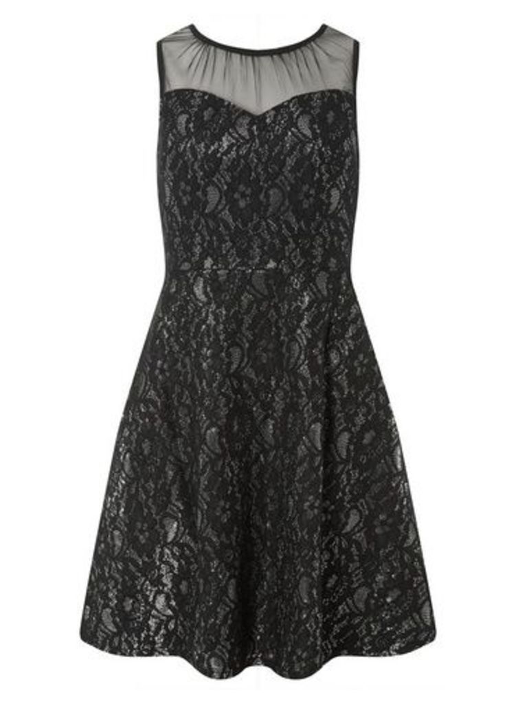 Womens Black And Silver Shimmer Lace Skater Dress - Multi Colour, Multi Colour