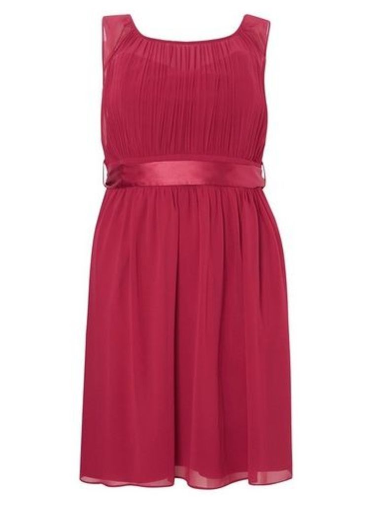 Womens **Showcase Curve Berry Beth Skater Dress- Red, Red