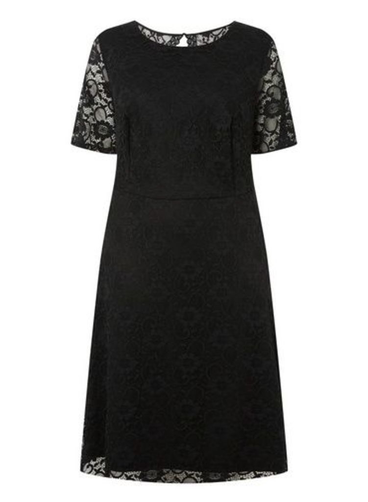 Womens **Dp Curve Black Short Sleeve Lace Fit And Flare Dress- Black, Black