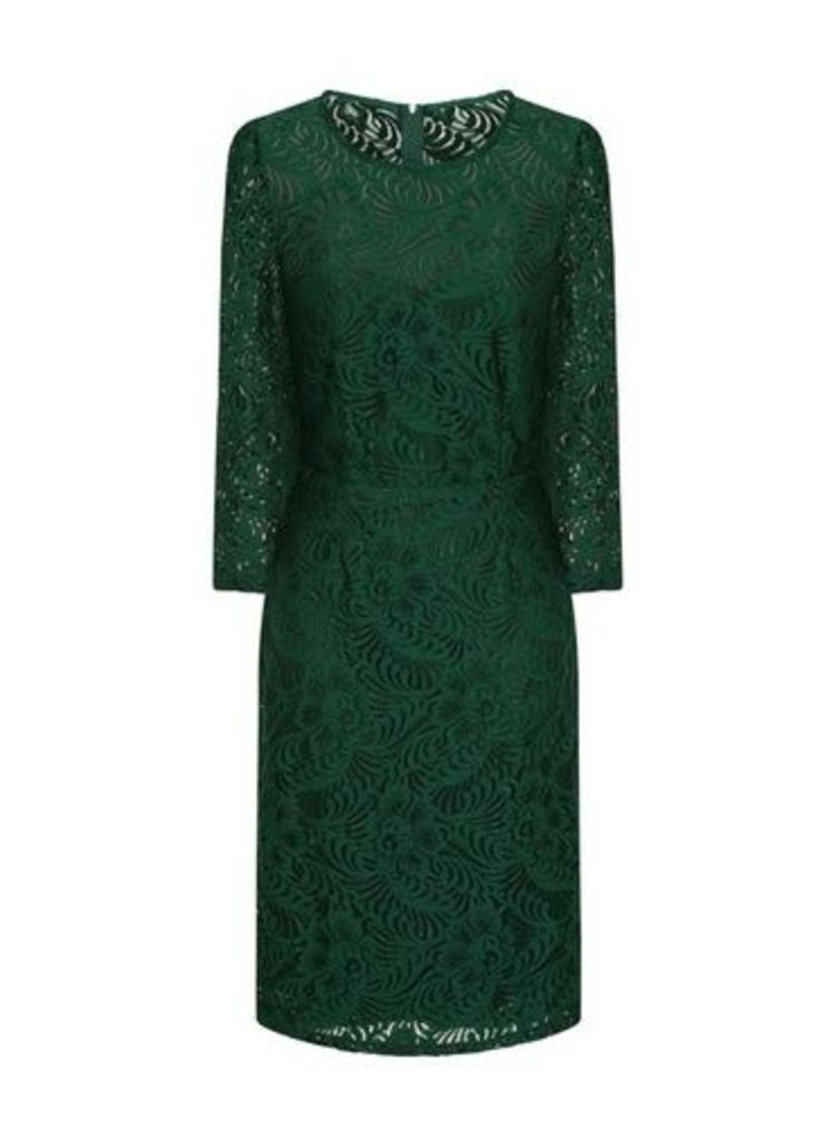 Womens **Paper Dolls 3/4 Sleeve All Over Lace Bodycon Dress- Green, Green