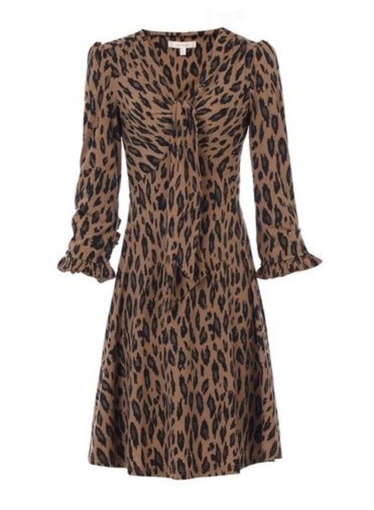 Womens *Jolie Moi Camel Leopard Print Tie Front Skater Dress - Brown, Brown