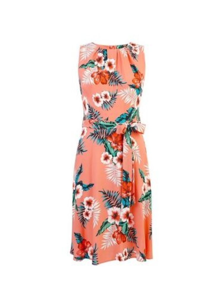 Womens **Billie & Blossom Coral Floral Printed Fit And Flare Dress- Pink, Pink