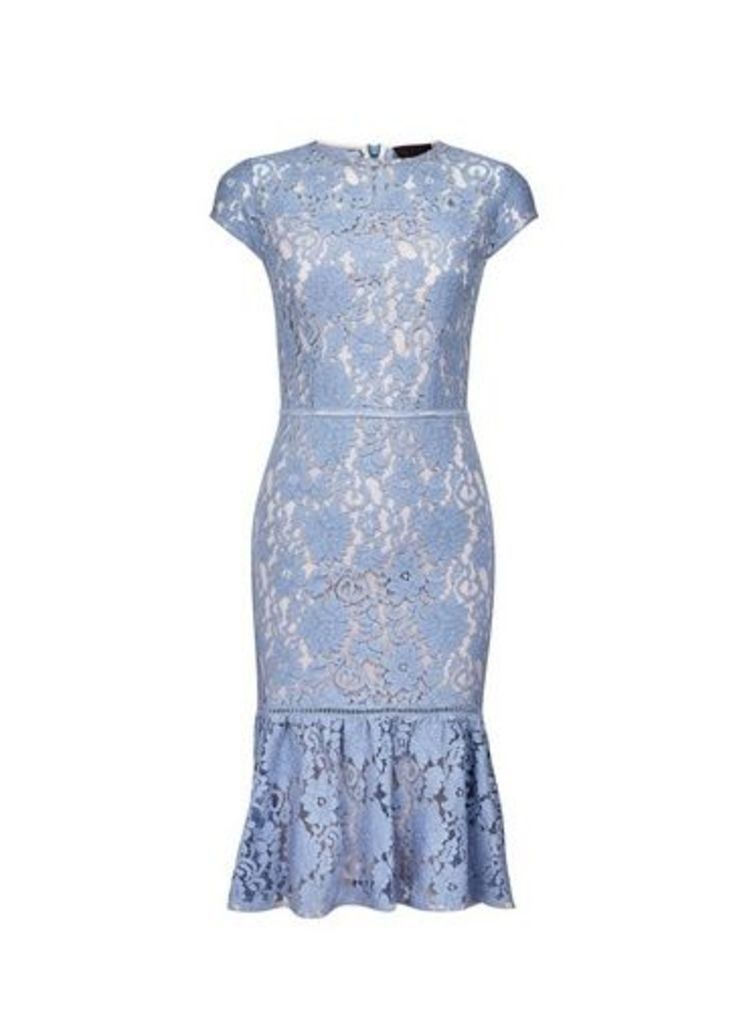 Womens **Luxe Blue Contrast Lace Dress, Blue