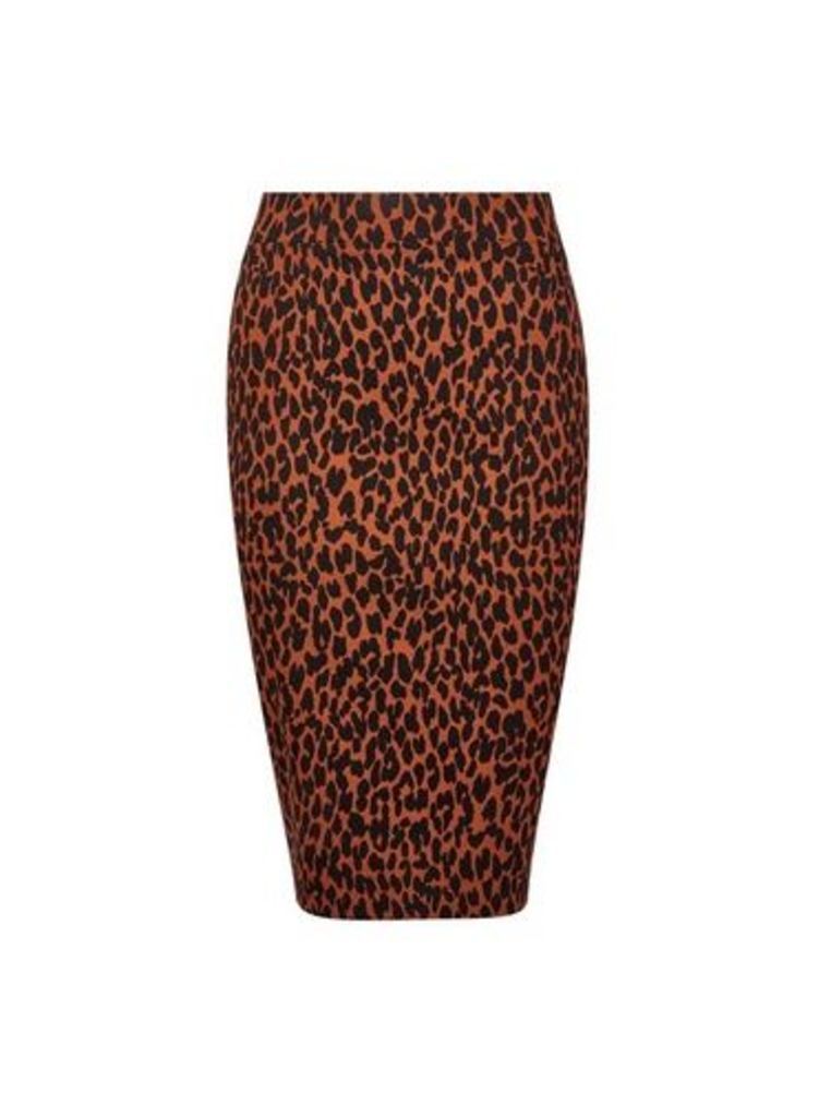 Womens Dp Petite Brown Leopard Print Skirt, Brown