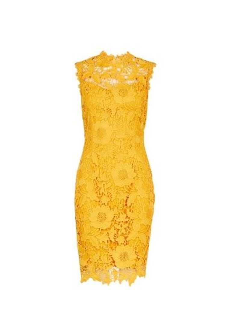Womens Showcase Yellow 'Erica' Lace Bodycon Dress, Yellow