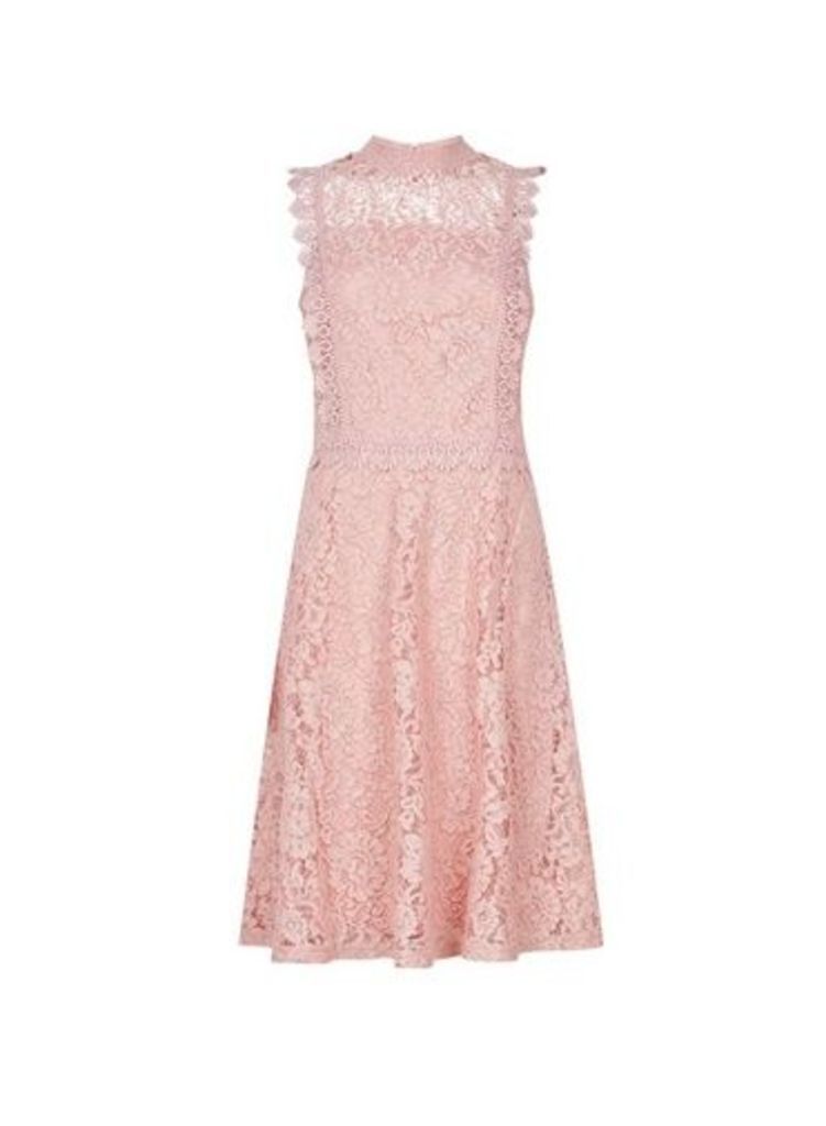 Womens Blush Shirred Neck Lace Midi Dress With Cotton - Pink, Pink