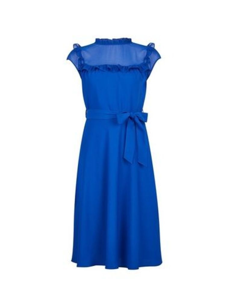 Womens **Billie & Blossom Petite Cobalt Blue Ruffle Midi Dress, Blue