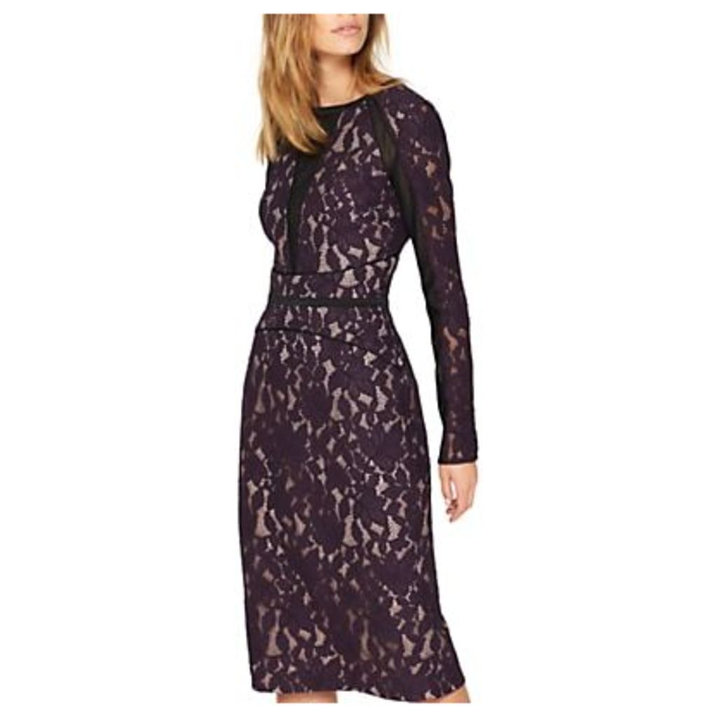 Damsel in a Dress Dalia Lace Panel Dress, Aubergine/Black