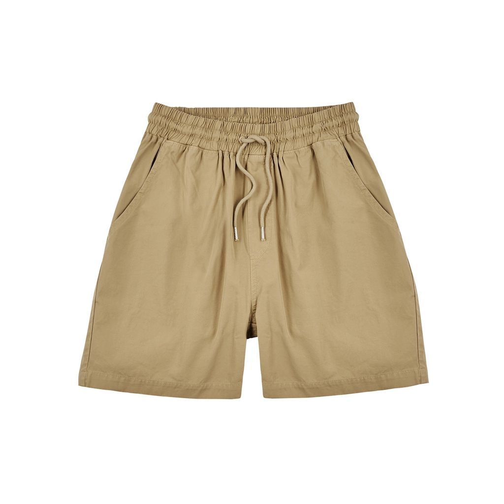 Camel Cotton Shorts - Tan - L