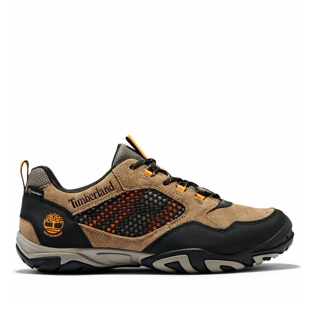 Crestridge Outdoor Shoe For Men In Brown Brown, Size 9.5