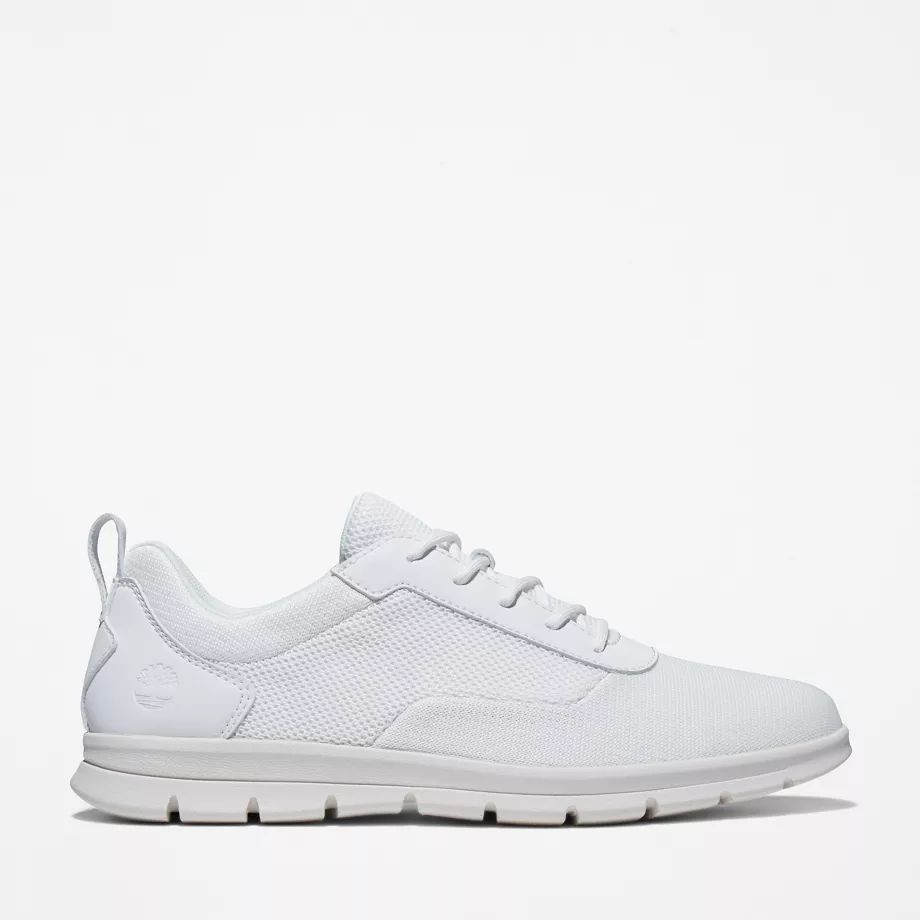 Graydon Canvas Sneaker For Men In White White, Size 8.5