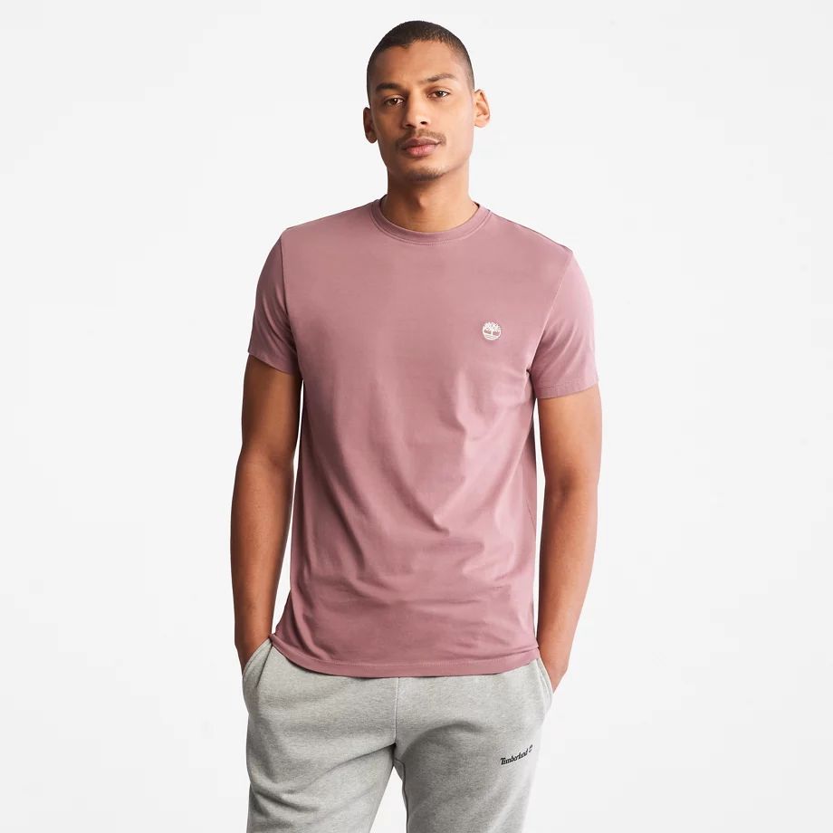 Dunstan River T-shirt For Men In Pink Violet, Size M
