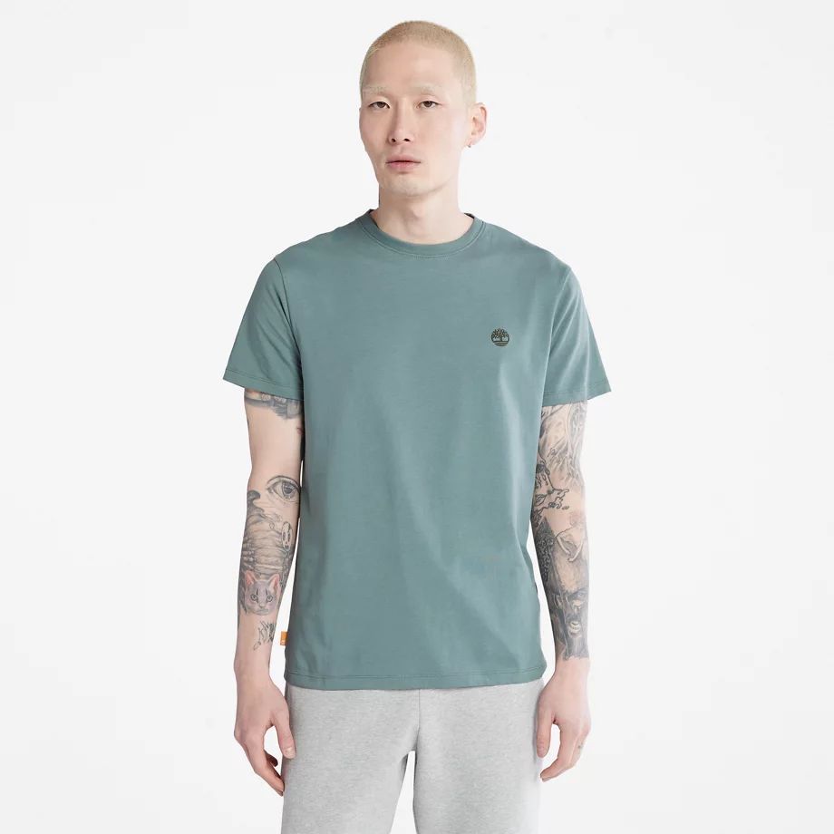 Dunstan River Crewneck T-shirt For Men In Green Green, Size 3XL
