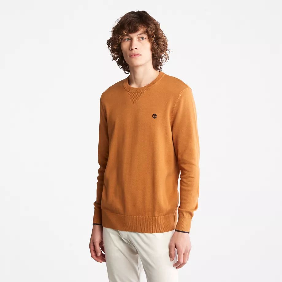 Williams River Organic Cotton Sweater For Men In Yellow Yellow, Size S