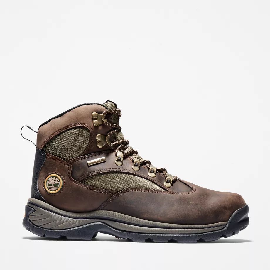 Chocorua Waterproof Hiking Boot For Men In Brown Brown, Size 11.5
