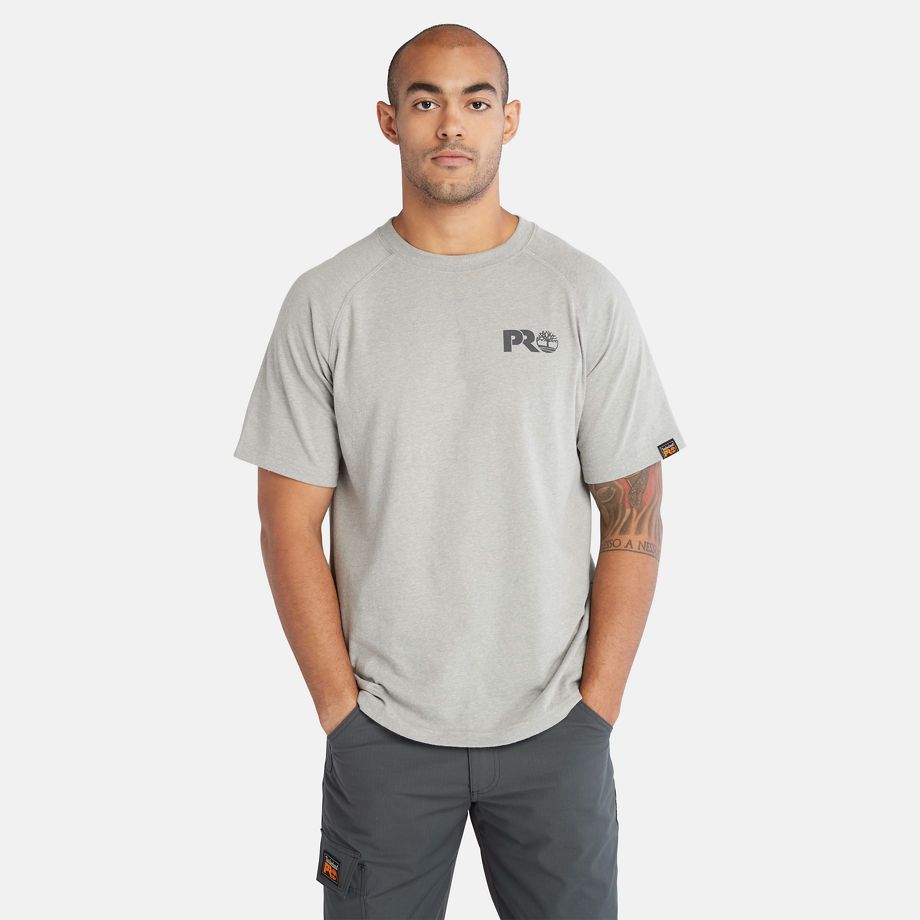 Pro Core Reflective Logo T-shirt For Men In Grey Grey, Size XL
