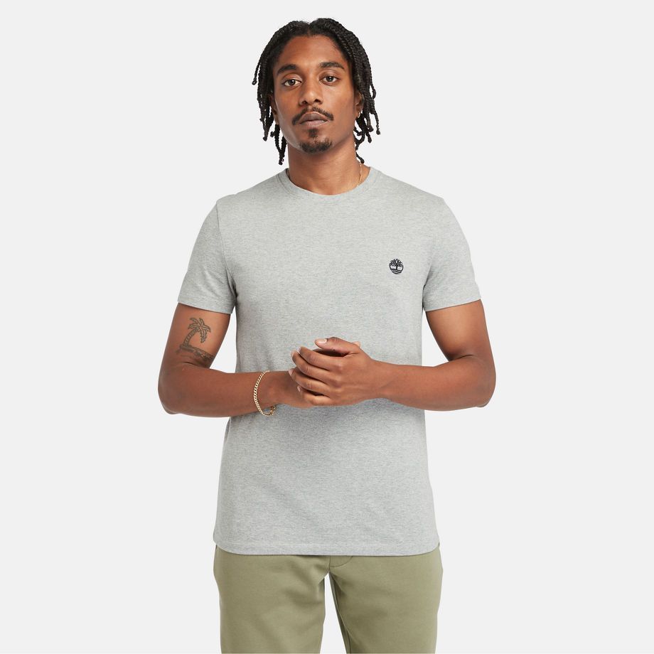Dunstan River Slim-fit T-shirt For Men In Grey Grey, Size S