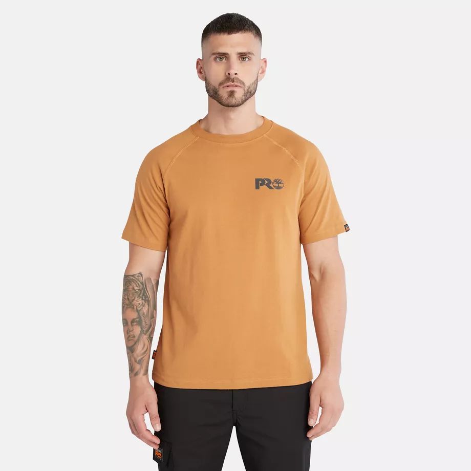 Pro Core Reflective Logo T-shirt For Men In Dark Yellow Yellow, Size 3XL