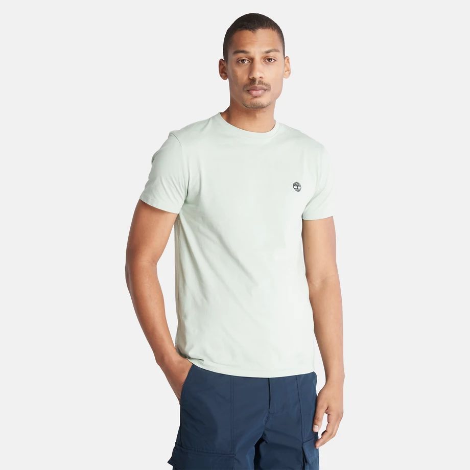 Dunstan River Slim-fit T-shirt For Men In Green Light Green, Size S