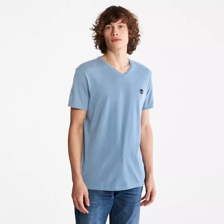 Dunstan River V-neck T-shirt For Men In Blue Blue, Size S