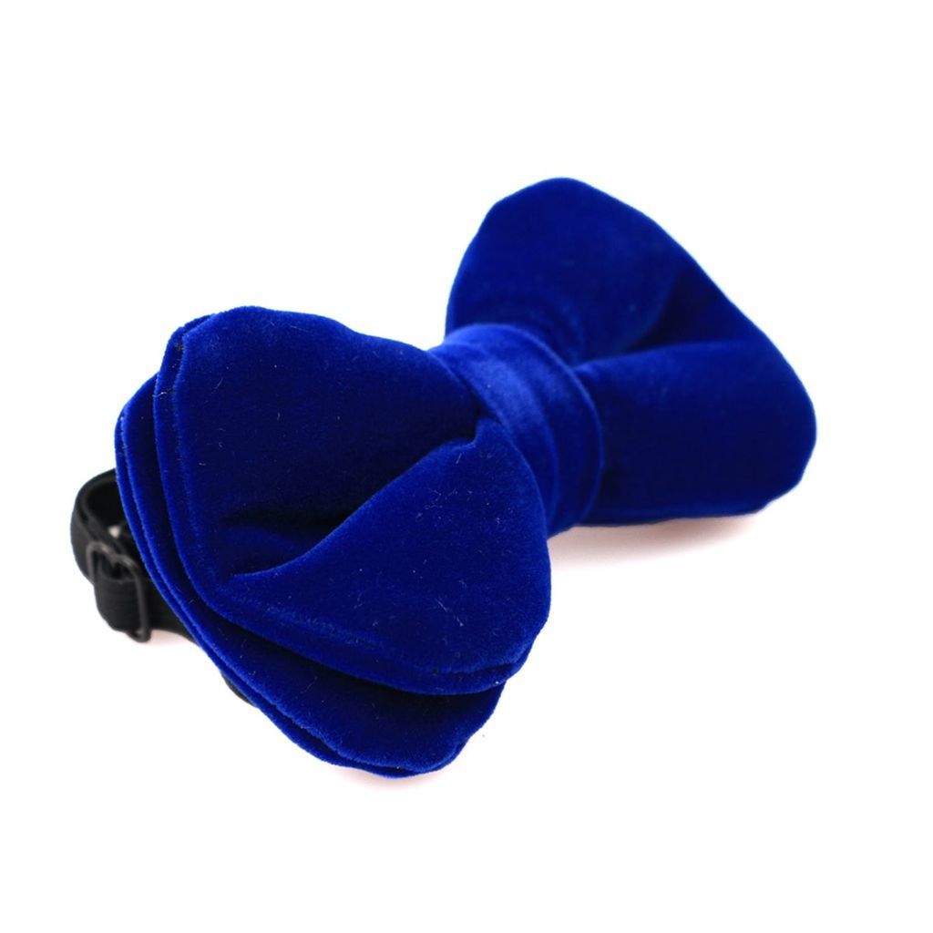 Men's Velvet Pretied Bow Tie - Royal Blue DAVID WEJ