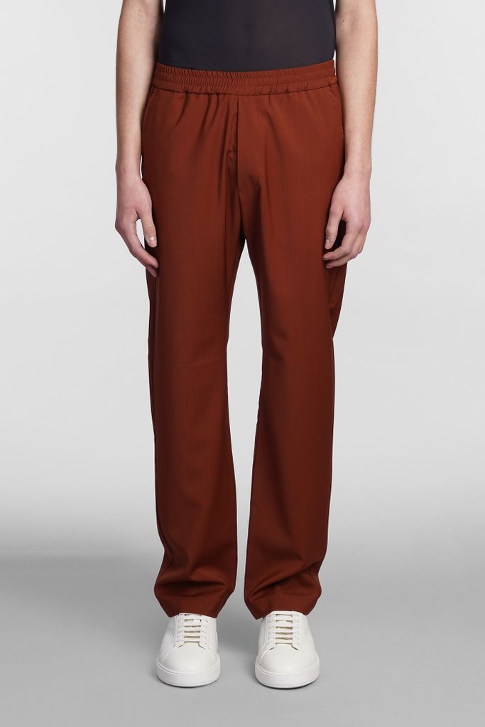 Tosador Pants In Rust Cotton