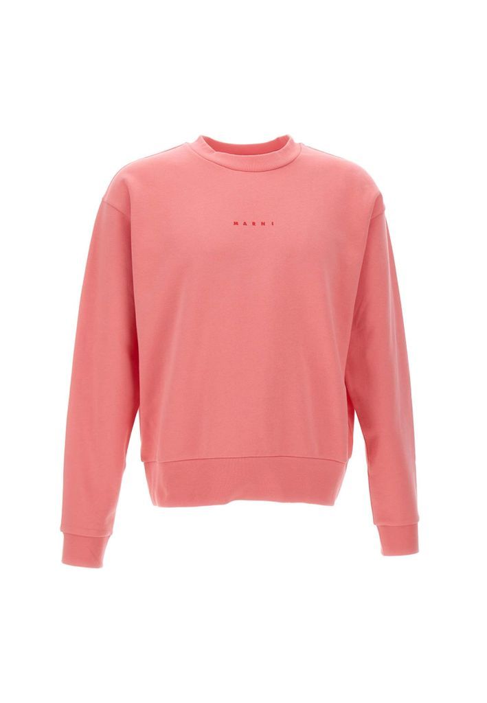 Organic Cotton Sweatshirt