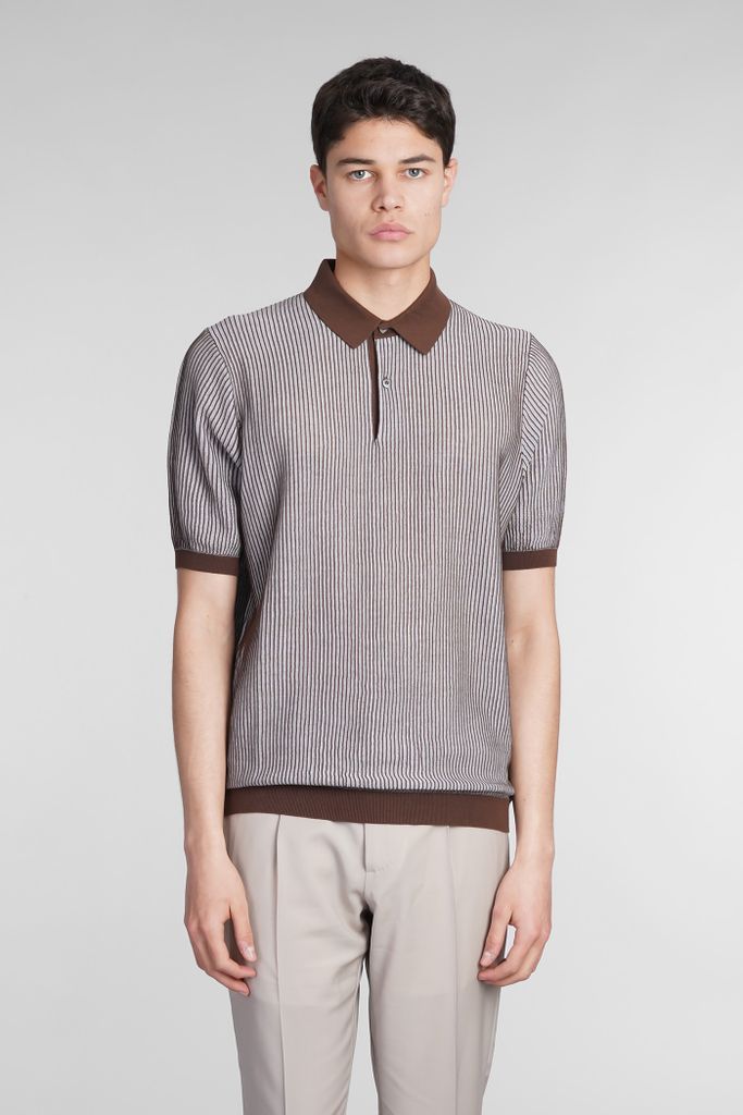Polo In Brown Cotton