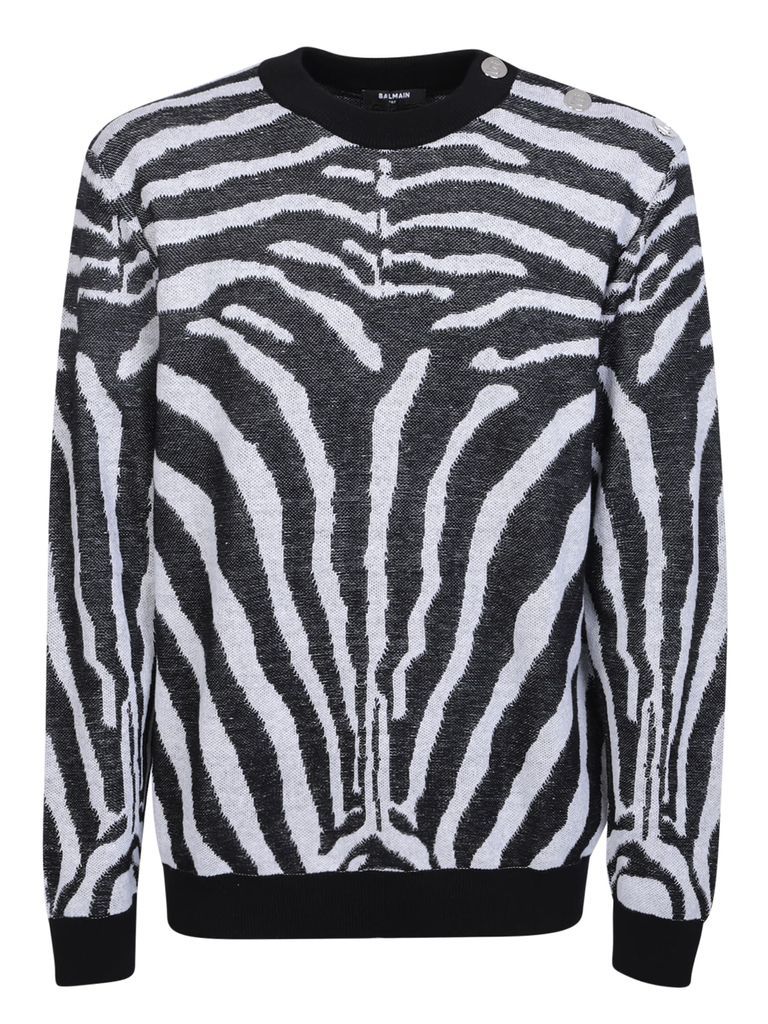 Zebra Print Pullover By Balmain