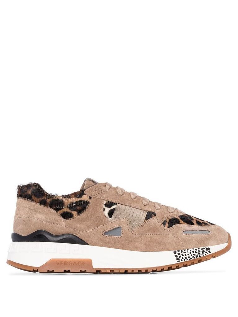 Versace Achilles leopard print sneakers - Brown
